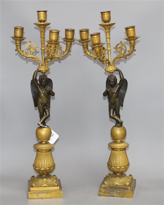 A pair of 19th century French bronze and ormolu candelabra, with scrolling branches, cherub stems and foliate scroll bases, height 58cm